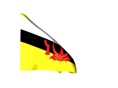 Brunei-Darussalam_240-animated-flag-gifs